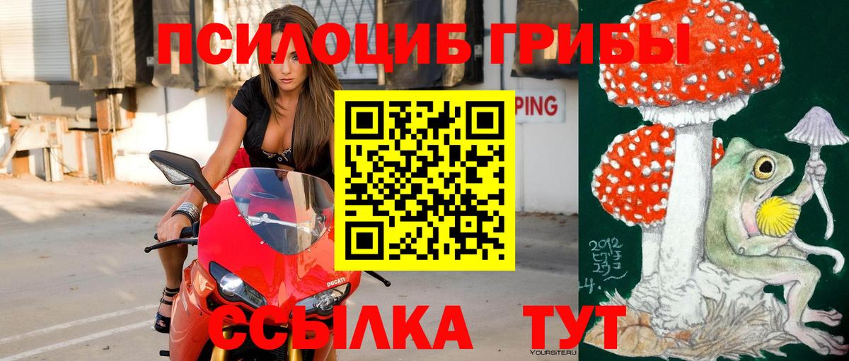 Омск  Псилоцибиновые грибы Psilocybine cubensis  Вход с VPN 