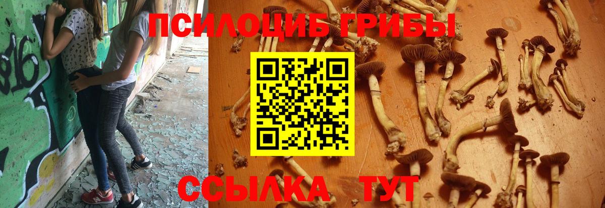 Псилоцибиновые грибы ЛСД Омск